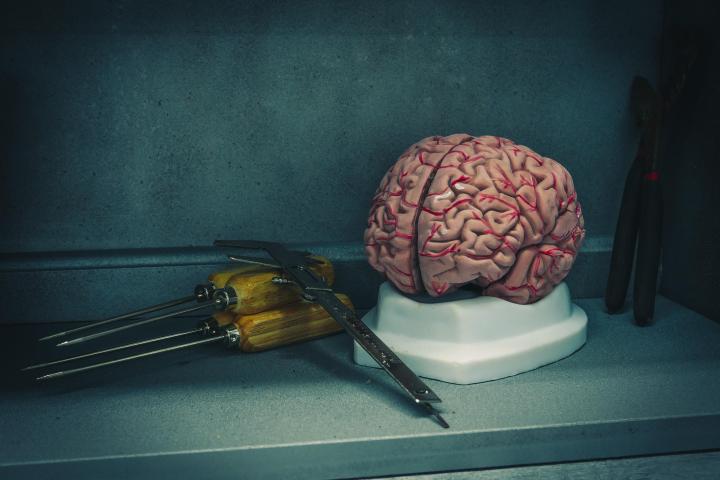 Tools next to a brain on top of a counter